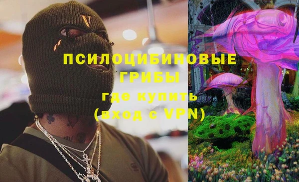 ГАЛЛЮЦИНОГЕННЫЕ ГРИБЫ Алзамай