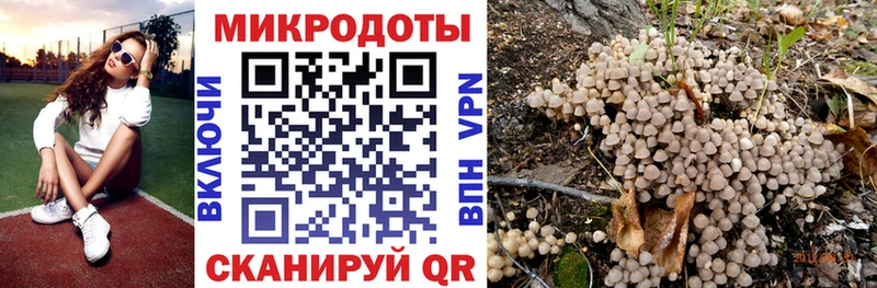 Псилоцибиновые грибы MAGIC MUSHROOMS  blacksprut tor  Грайворон  хочу  