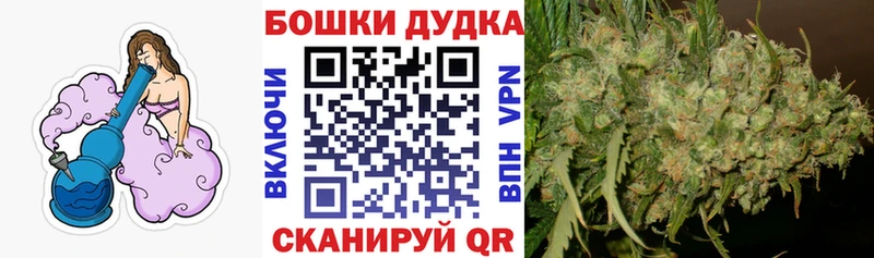 Шишки марихуана Bruce Banner  Грайворон 